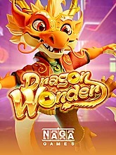 dragon-wonder