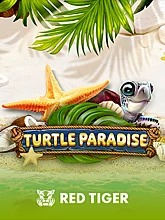 turtle-paradise